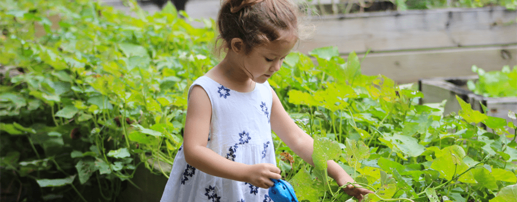 nature can help kids learn life skills
